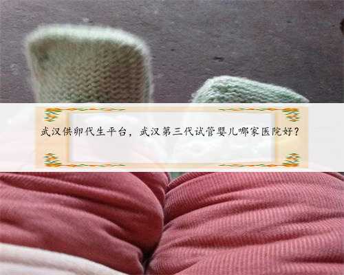武汉供卵代生平台，武汉第三代试管婴儿哪家医院好？