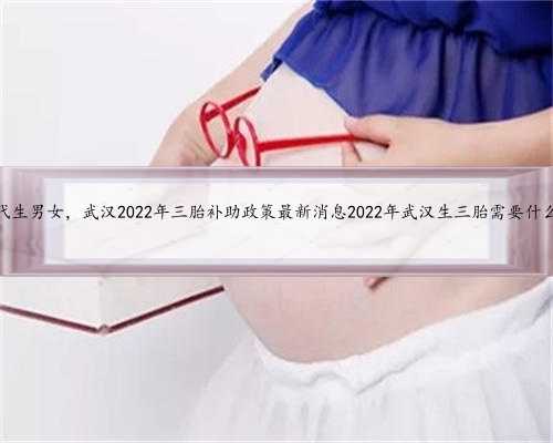 武汉代生男女，武汉2022年三胎补助政策最新消息2022年武汉生三胎需要什么条件