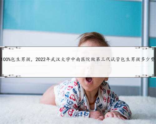 武汉100%包生男孩，2022年武汉大学中南医院做第三代试管包生男孩多少费用？