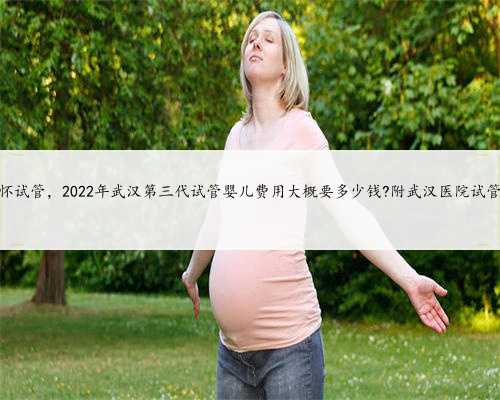 武汉供卵代怀试管，2022年武汉第三代试管婴儿费用大概要多少钱?附武汉医院试