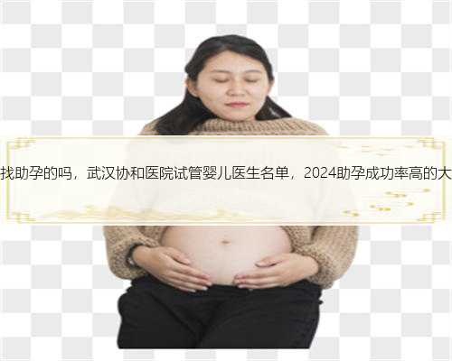 内蒙有找助孕的吗，武汉协和医院试管婴儿医生名单，2024助孕成功率高的大夫